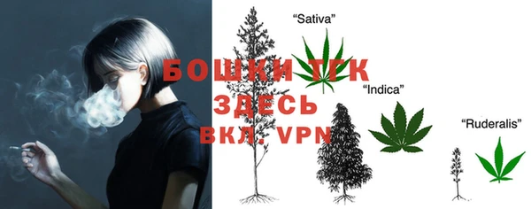 первитин Горняк