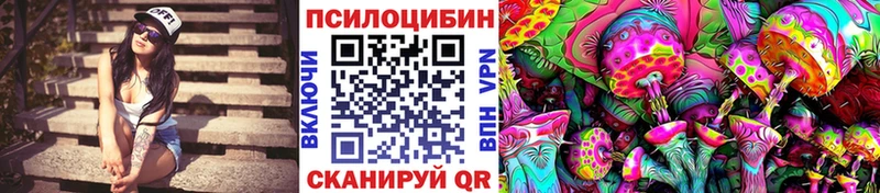 Купить где  Корсаков  Галлюциногенные грибы мухоморы 